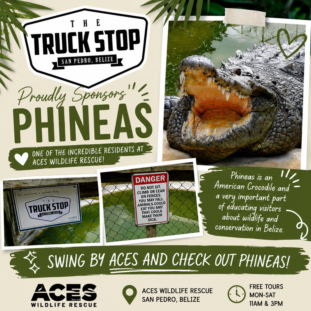The Truck Stop proudly sponsors Phineas, an American crocodile at ACES Wildlife Rescue